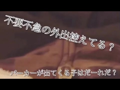 【ここにも不要不急の外出控えてる子が】パーカーから出てくる動物だーれだ