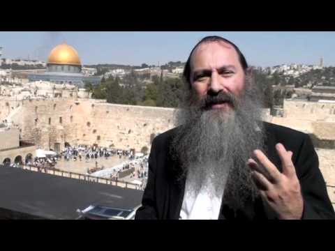 Noah's Ark & Six Constant Mitzvot - Rabbi Svirsky on Parsha Noach