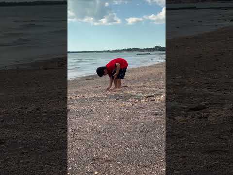 Kids at beach