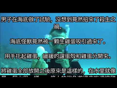 【奇聞趣事】驚!!! 男子在海底打開了一個雞蛋後竟招殺生之禍!!! 海怪出現!!!