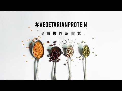 【有營至尚 – 植物也有蛋白質 ︱Healthy & Well Being – Protein in Plant Food】