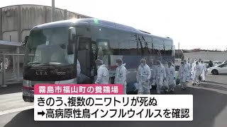 霧島市の養鶏場で高病原性鳥インフルエンザ　鹿児島県内２例目　ニワトリの殺処分始まる (24/12/20 11:21)