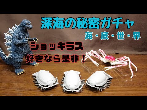 【深海のひみつ 海・底・世・界】タカラトミーアーツのイカすガチャ！