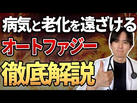 【論文解説】どんな食事を取ればよい？食事方法は？運動は意味ある？オートファジーの引き起こし方、医師が解説します。