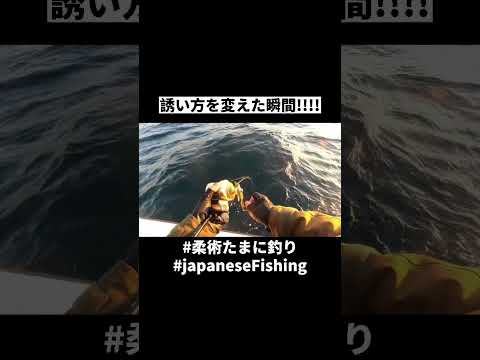 衝撃!!誘い方を変えた瞬間に!! #海釣り #釣り #船釣り #釣り好き #enjoybjjlife #fishingvideo #fishing #japanfishing