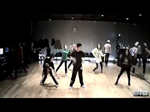 BigBang - Fantastic Baby (dance practice) DVhd.mp4