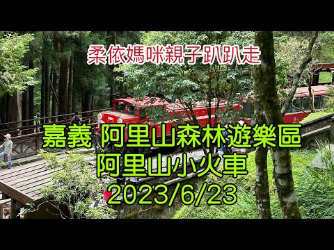 嘉義阿里山森林遊樂區 阿里山小火車  2023/6/23-08