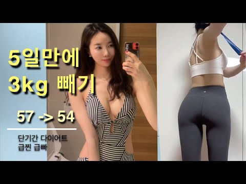 [Diet Vlog] 5일만에 3kg 빼기 성공 | 급찐급빠 | 미생의 하루 | 운동하는 직장인의 일상 | 단백질쉐이크 고르는 팁