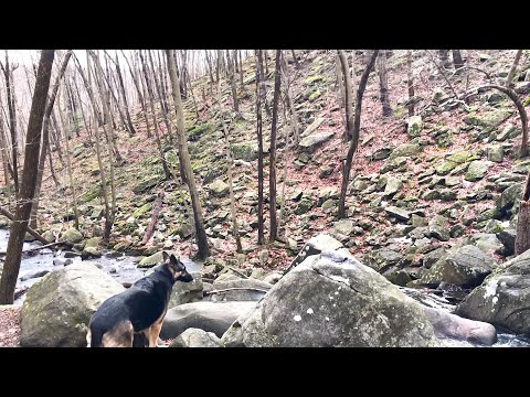 Ep140 Black River hiking with Our German Shepherd Hiking Video Series Hiking with Dog