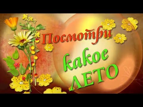 Посмотри,какое лето!🌺🌺🌺Look at the summer!