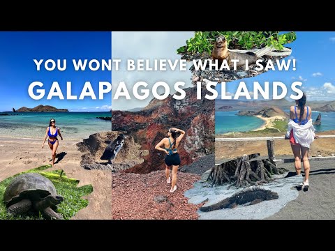 ✨COME WITH ME ON MY DREAM VACATION | Is the Worth It? Galapagos 2023