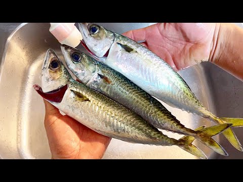 堤防から釣れたサバにアニサキスは居るのか？