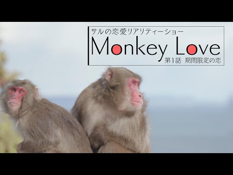 Monkey Love第1話「期間限定の恋」