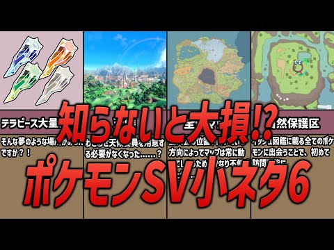 【ポケモンSV】知らないと損する、ポケモンSVの小ネタ６選