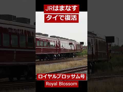 元JR北海道14系「はまなす」がタイでラグジュアリーなRoyal Blossomとして復活 Hamanasu, Royal Blossom #shorts