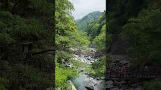 20240520 秘境祖谷溪‧葛藤橋