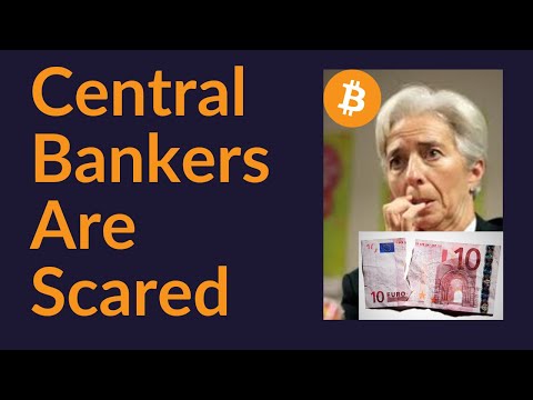 Central Bankers Are Scared