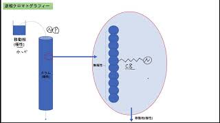 逆相クロマトグラフィーとは？