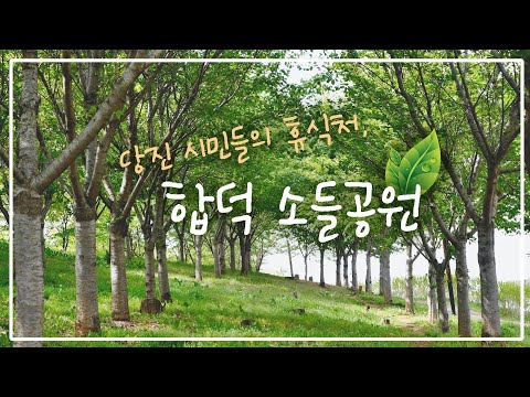 당진의 봄꽃 명소[합덕 소들공원]