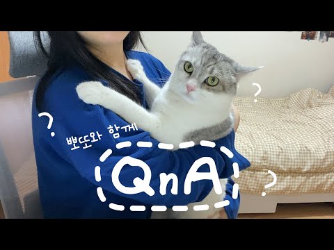 [QnA] 여러분의 질문에 대한 💌답장💌이 왔습니다❤️