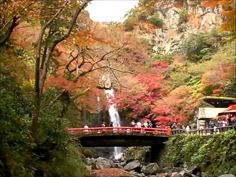 箕面大滝　紅葉　2013