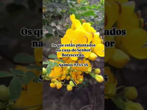 #grandiosodeus #augustocarvalho #somostodostodah