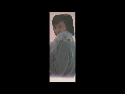 仲雅美／海が見えたら（1973）