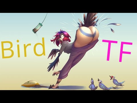 Bird Transformation / Bird TFTG