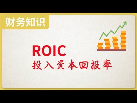 ROIC投入资本回报率，评价盈利能力指标，ROE的升级版