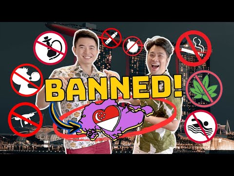 Is EVERYTHING BAN in Singapore? 🇸🇬 Busting TOP Singapore 🦁 Myths with local Youtuber @dashingheights