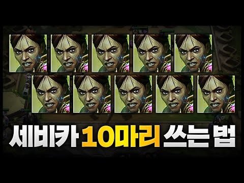 이론상 세비카 10마리 쓰는법ㅋㅋㅋㅋㅋㅋㅋㅋ