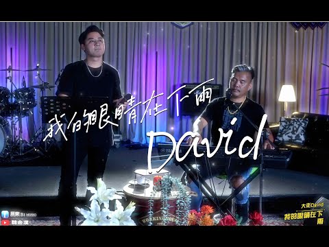 我的眼睛在下雨-David