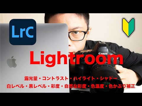 レタッチの基本！【Lightroom初級】魅力ある写真に！【写真の取り込み、露光量、コントラスト、ハイライト、シャドー、白レベル、黒レベル、彩度、自然な彩度、色温度、色かぶり補正、書き出し】