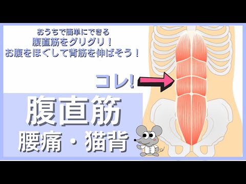 腹直筋をグリグリ！お腹をほぐして背筋を伸ばそう！＜腹直筋ストレッチ＞