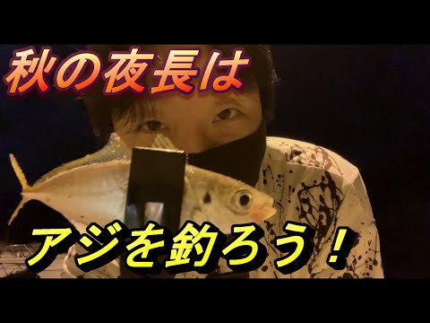 【福岡釣り】久しぶりのアジ釣りで大漁！釣ったアジで泳がせ釣りしていたら・・・。【14釣目】　#サビキ　#アジ　#釣り