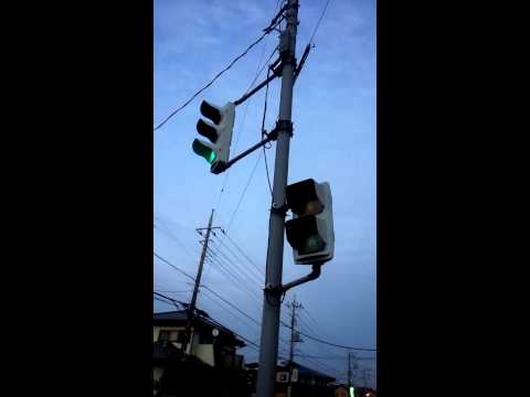 電球擬きLED歩行者信号機が坂戸市内にも現れた!!２