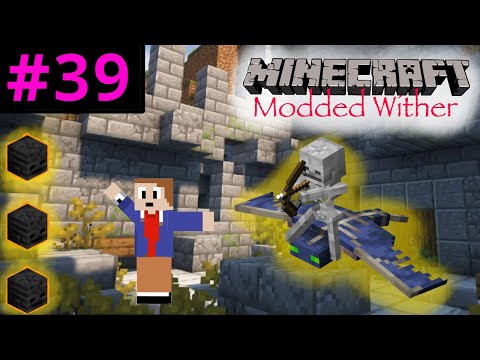 One More Swing At The ARENA!! | Minecraft MODDED Day 39