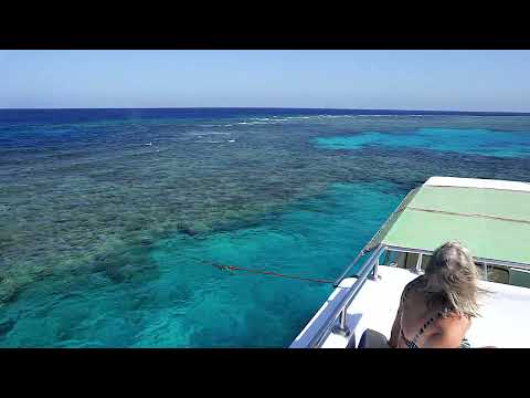 Red Sea   Divesites around Giftun Island 2023