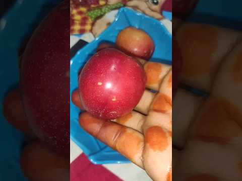 albakara fruit  good for health #albakara #plumfruit #healthyfruit #trendingshorts #ytshorts