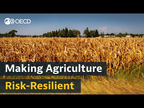 Making agriculture more resilient to risks. What can governments do?