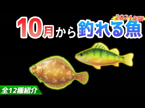 【あつ森】10月から釣れる魚を全て紹介！魚影や出現時間・場所・値段・釣り方のコツも解説！カレイやイエローパーチなどレア魚が登場！【あつまれどうぶつの森　10月の魚図鑑コンプリート】