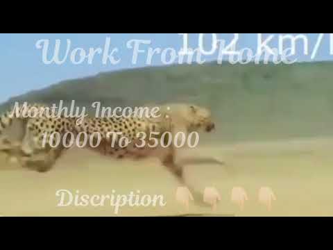 #Online_Jobs_Tamil/How to earn money online without investment ?