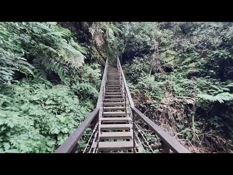 【新竹。爬山景點推薦】五指山橫向步道、一線天/猴洞步道、適合親子遊的森林步道，一線天好好玩！