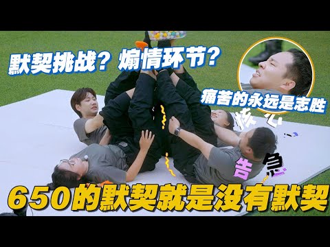 默契挑战？煽情环节？不存在的！650最大的默契就是没有默契😂#李雪琴 #汪苏泷 #徐志胜 #辣目洋子 #团建不能停 #毛雪汪 #五十公里桃花坞