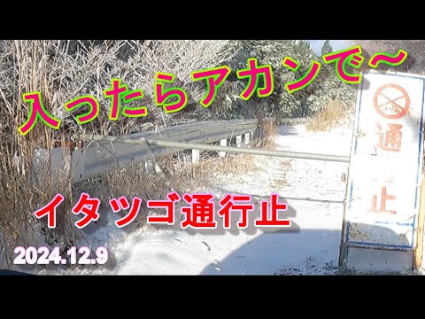 {スーパーキャリイ}2024 12 9龍神奥千丈イタツゴ通行止め