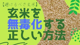 【避けるべき玄米】玄米を無毒化する正しい方法