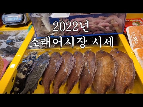 소래포구 어시장 시세 리뷰(종류, 가격 정보)