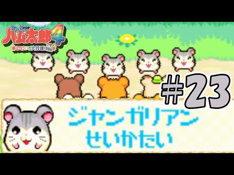 【とっとこハム太郎4】招待最難関のジャンガリアンせいかたい#23