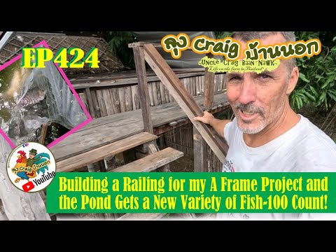 EP424 Building a Railing for my A Frame Project and the Pond Gets a New Variety of Fish-100 Count.