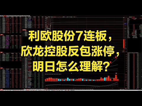 利欧股份7连板，欣龙控股反包涨停，明日怎么理解？